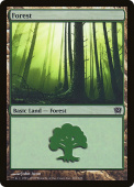 Forest Forest