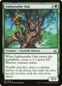 Ambassador Oak Ambassador Oak