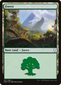 Forest Forest