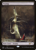 Swamp Swamp