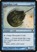 Horseshoe Crab Horseshoe Crab