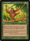 Uktabi Orangutan Uktabi Orangutan
