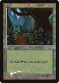 Forest Forest