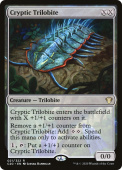 Cryptic Trilobite Cryptic Trilobite