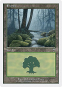 Forest Forest