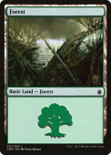 Forest Forest