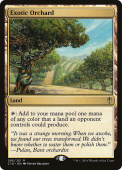 Exotic Orchard Exotic Orchard