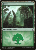 Forest Forest
