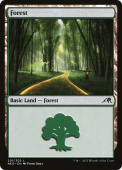 Forest Forest