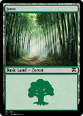 Forest Forest