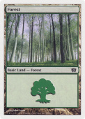Forest Forest