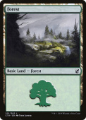 Forest Forest