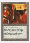 Jandor's Saddlebags Jandor's Saddlebags