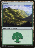 Forest Forest