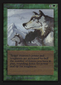 Aspect of Wolf Aspect of Wolf