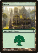 Forest Forest