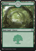 Forest Forest