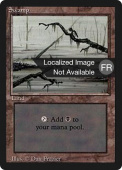 Swamp Swamp
