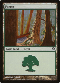 Forest Forest