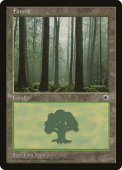 Forest Forest