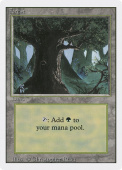 Forest Forest