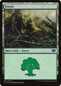 Forest Forest