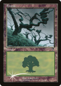 Forest Forest