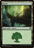 Forest Forest