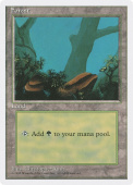 Forest Forest