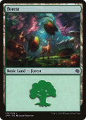 Forest Forest