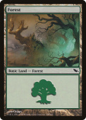 Forest Forest