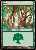 Forest Forest