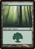 Forest Forest