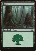 Forest Forest