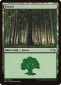 Forest Forest