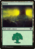 Forest Forest