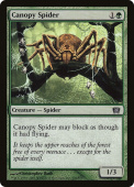 Canopy Spider Canopy Spider