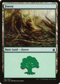 Forest Forest