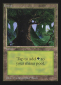 Forest Forest