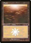 Plains Plains