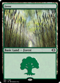 Forest Forest
