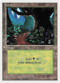 Forest Forest
