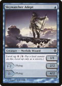 Skywatcher Adept Skywatcher Adept