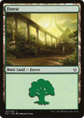 Forest Forest