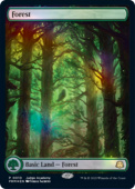 Forest Forest