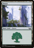 Forest Forest