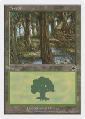 Forest Forest