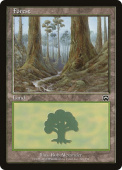 Forest Forest