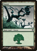Forest Forest