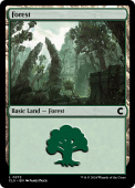 Forest Forest